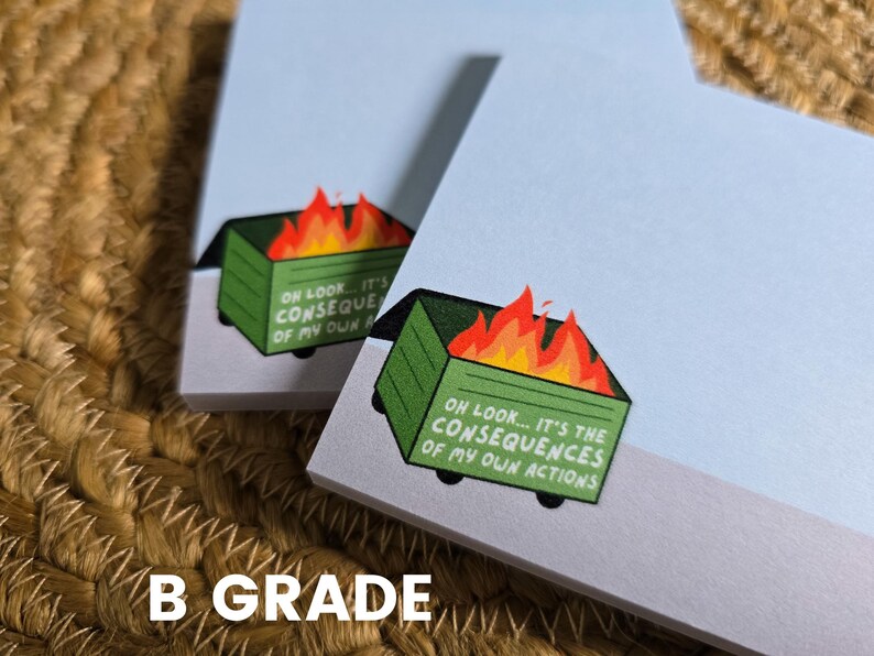 Dumpster Fire Post-it® Note Pads, Sticky Notes for ADHD, Consequences of my own actions meme, snarky stationary gift ideas for coworkers, image 6