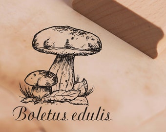 Timbre Boletus edulis - cèpe estampes de motif env. 48 x 48 mm - Scrapbooking Poinçonnage en bois - Botanique nature plante champignons forêt automne marones