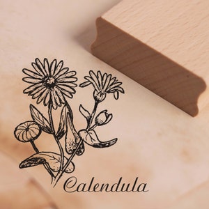 Tampon Calendula - Tampon motif Souci - env. 38 x 38 mm - Tampon bois scrapbooking - plante nature herbes botanique jardin