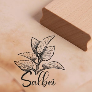Sage Motif Stamp-Ervas Cozinha Ervas Carimbo Carimbo De Madeira 48x48mm-Scrapbooking Gravação Jardim Cozinha Jardim Ervas Presente