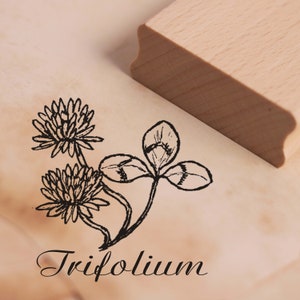 Stamp Trifolium - Motif Stamp Clover - approx. 38 x 38 mm - Scrapbooking Wood Stamp - Gift Nursery Florist Flower Meadow Clover