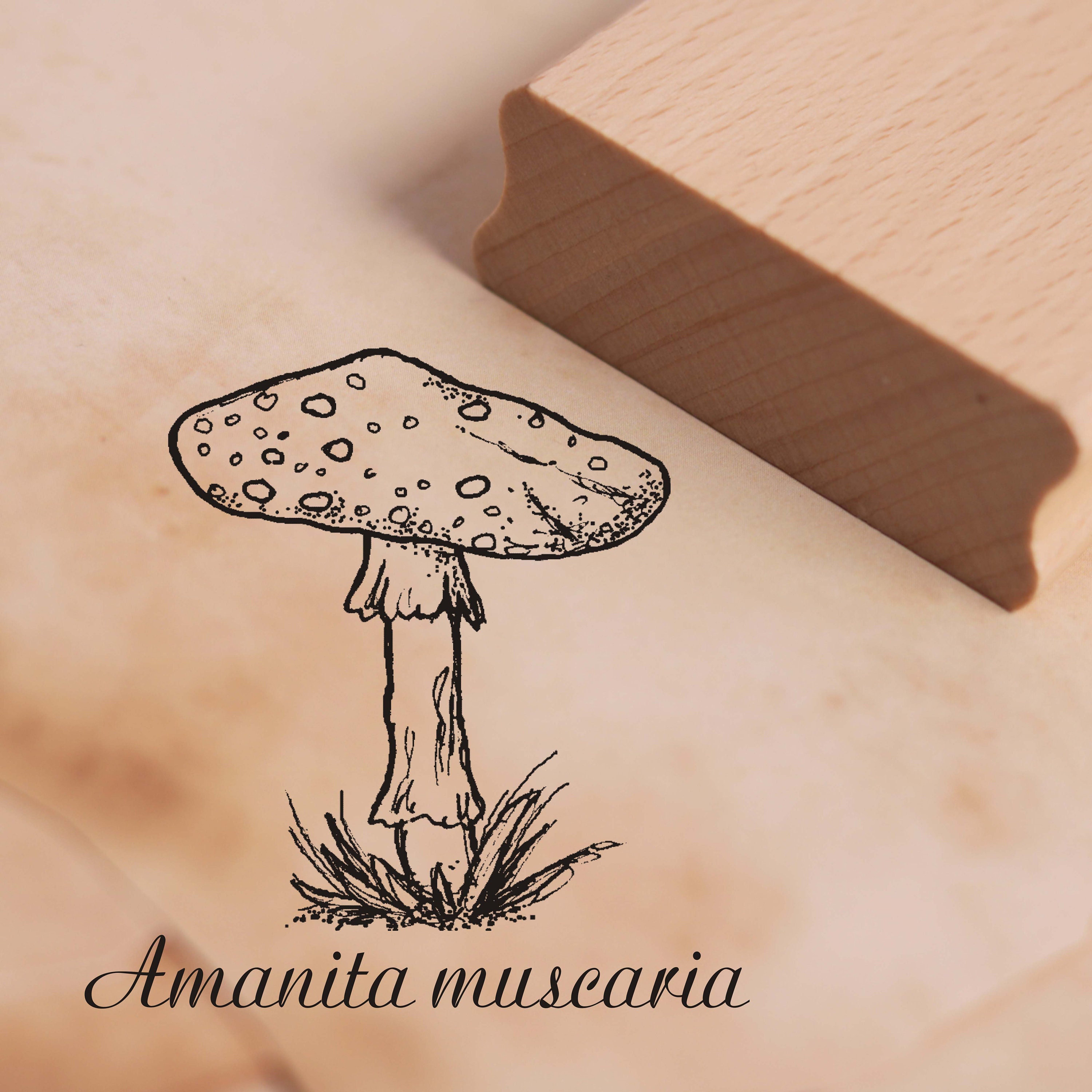 Amanita Mushroom Art Vinyl Sticker — Artwork by Danielle O'Malley