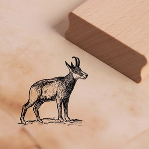 Tampon motif chamois 48 x 48 mm - tampon bois scrapbooking gaufrage estampage loisirs créatifs tampon animal - chamois chèvre chamois animal sauvage