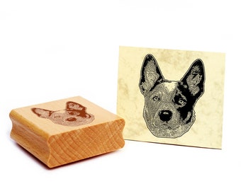 Timbro con motivo Australian Cattle Dog timbro cane timbro in legno 39 x 48 mm - idea regalo proprietario del cane fan del cane regalo per amante dei cani