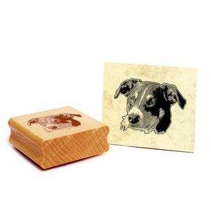 Motivstempel Appenzeller Sennenhund  Stempel Hund Holzstempel 48 x 37 mm - Geschenkidee Hundebesitzer Hundefan Hundefreund Geschenk