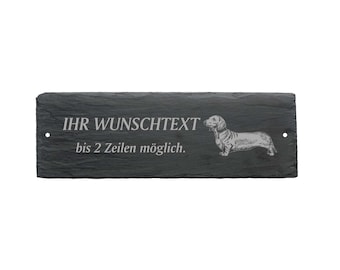 Cairn Terrier ☀️ » Rasseportrait, Wesen / Charakter, Züchter