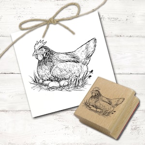 Sello con motivo de gallina clueca sentada sobre huevos - sello de madera de 48 x 38 mm - estampación, manualidades, scrapbooking, idea de regalo para granjero
