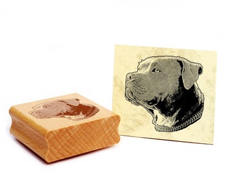 Motif stamp American Bully stamp dog wooden stamp 48 x 46 mm - gift idea dog owner dog fan dog friend gift