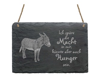 Schiefertafel 'Bitte Nicht Füttern' Mit Esel-Motiv - 22x16 Cm, Wetterfest, Mit Aufhängung