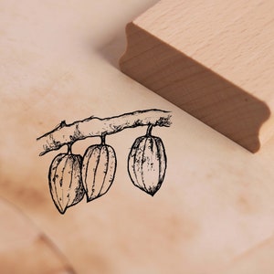 Timbro Motivo Cocoa Bean Stamp 48 x 38 mm - Timbro in legno Scrapbooking Francobolli goffratura - Pianta Cacao Foresta Pluviale Tropical School Nature