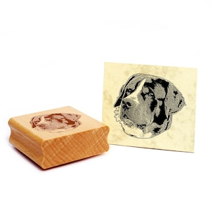 Motivstempel Schweizer Sennenhund  Stempel Hund Holzstempel 48 x 43 mm - Geschenkidee Hundebesitzer Hundefan Hundefreund Geschenk