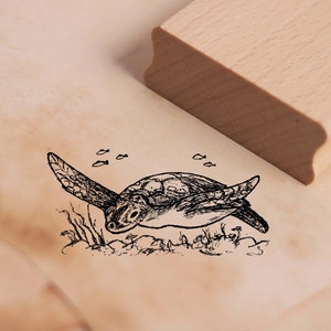 Motivstempel Schwimmende Wasserschildkröte - Stempel 58 x 28 mm - Holzstempel Scrapbooking Embossing Stempeln Basteln - Schildkröte Turtle