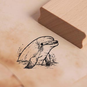 Motivstempel Niedlicher Delphin schaut aus dem Wasser - Stempel Holzstempel 48 x 38 mm - Scrapbooking Stempeln Basteln Kreativität