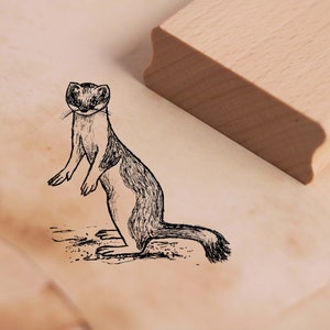 Peut inclure: Un dessin au trait noir et blanc d'une belette debout sur ses pattes arrière. La belette est face à l'avant, la queue enroulée derrière elle. Le dessin est sur un fond brun clair.