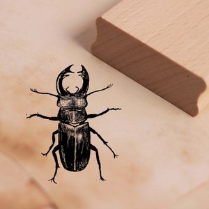 Motif Timbre Cerf Coléoptère Timbre 38 x 48 mm - Timbre en bois Scrapbooking Embossage Artisanat Timbres Coléoptère Insectes - Forest School Kindergarten