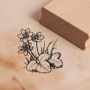 Motivstempel Leberblümchen - Stempel Holzstempel 48 x 48 mm - Scrapbooking Embossing Basteln Stempeln Geschenk Schule Kindergarten Garten