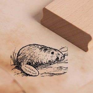 Timbre motif Castor dans l’eau Timbre 48 x 28 mm - Timbres en bois Timbres Artisanat Scrapbooking Embossage - Cadeau Maternelle École Nature