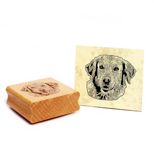 Motivstempel Golden Retriever  Stempel Hund Holzstempel 48 x 41 mm - Geschenkidee Hundebesitzer Hundefan Hundefreund Geschenk