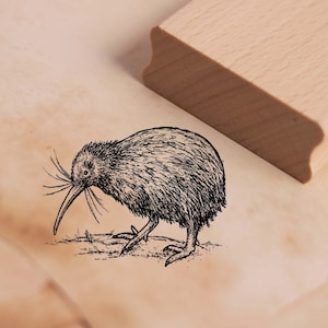 Tampon à motif Kiwi mignon - Tampon oiseau Tampon en bois 48 x 37 mm - Artisanat d'estampage Scrapbooking Gaufrage école maternelle