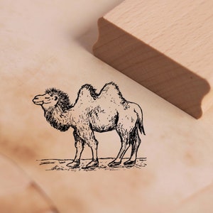 Motivo Timbro Cammello Francobollo 48 x 38 mm - Francobollo in legno Scrapbooking Timbri goffratura Stampo Artigianato Timbro Animale - Africa Deserto Egitto Zoo Zoo