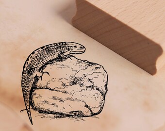May include: A black and white line drawing of a lizard perched on a rock. The lizard is facing the right side of the image. The rock is textured and has a rough surface.