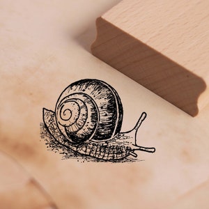 Timbre motif escargot nature timbre 38 x 28 mm - tampon en bois scrapbooking gaufrage estampage artisanat - cadeau jardin d'école maternelle