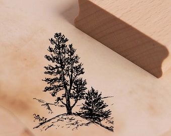 Motivstempel Zirbelkiefer Stempel Baum Zirbe Zirbel 38 x 48 mm - Holzstempel Stempeln Basteln Scrapbooking Embossing - Geschenk Natur Wald