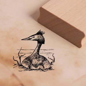 Pieczęć z motywem perkoz dwuczuby w gnieździe - stempel 38 x 38 mm - stempel drewniany scrapbooking tłoczenie rzemiosło tłoczenie zwierzę pieczątka - kaczka ptak wodny