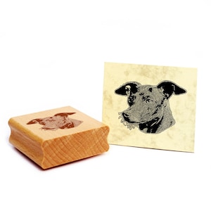 Timbro con motivi Timbro con campanello a vento italiano Timbro in legno per cani 48 x 36 mm - idea regalo proprietario del cane fan del cane regalo per amante dei cani