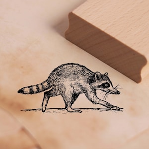 Motivstempel Waschbär läuft Stempel 58 x 28 mm - Holzstempel Scrapbooking Embossing Stempeln Tierstempel Natur Raccoon Schule Kindergarten