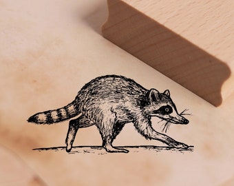 Stempel « WASCHBÄR 01 » Adressenstempel Motiv Tier Nordamerika Zoo raccoon 