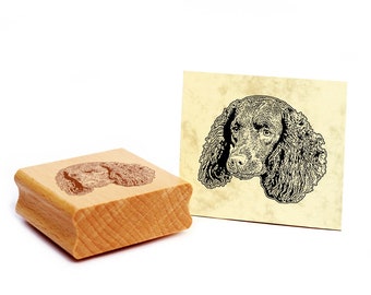 Motif stamp American Water Spaniel stamp dog wooden stamp 48 x 41 mm - gift idea dog owner dog fan dog friend gift