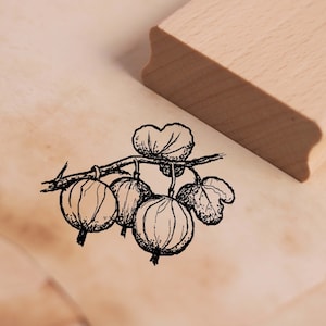 Timbre à motif groseille - timbre en bois 38 x 28 mm - scrapbooking gaufrage estampage artisanat cadeau nature jardin école maternelle