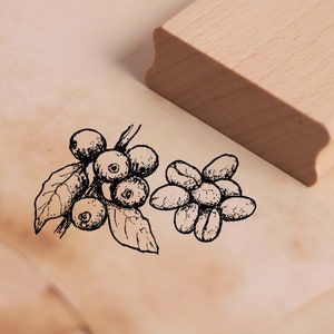 Motif Stamp Coffee Bean Stamp 48 x 28 mm - Francobollo in legno Scrapbooking Timbri in rilievo - Piante di caffè Nature Tropical School