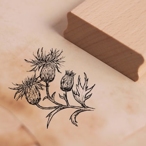 Stamp Field Thistle - Motif Stamp approx. 48 x 45 mm - Scrapbooking Wood Stamp Embossing - Nature Plant Thistle Thistle Flower Blossom