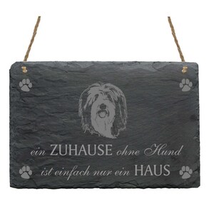 Slate «Bearded Collie»