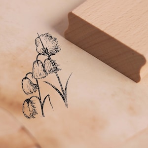 Motivstempel Cottongrass - Wollgras Stempel 28 x 48 mm - Holzstempel Scrapbooking Embossing Stempeln Basteln Kindergarten Schule Natur Wiese