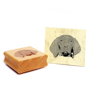 Motivstempel Magyar Vizsla  Stempel Hund Holzstempel 48 x 36 mm - Geschenkidee Hundebesitzer Hundefan Hundefreund Geschenk
