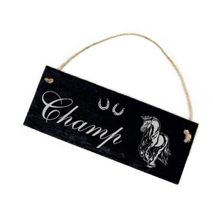 Slate board horse Friesian - with desired name - door sign 22 x 8 cm weatherproof - stable sign horse stable riding stable horse box Friesian horse