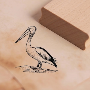 Motivo Timbro Pellicano Timbro 44 x 48 mm - Francobollo in legno Scrapbooking Goffratura Francobolli Artigianato Uccello Tropici Scuola materna Zoo