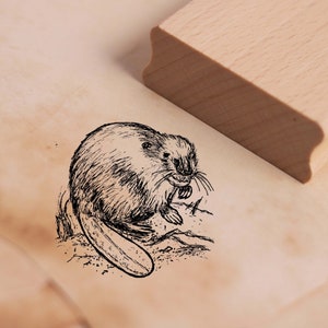 Motivstempel Biber auf der Wiese Stempel 48 x 48 mm - Holzstempel Stempeln Basteln Scrapbooking Embossing - Geschenk Tierstempel Zoo Tiere