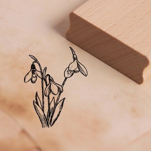 Motivstempel Schneeglöckchen Stempel Frühblüher 38 x 48 mm - Holzstempel Scrapbooking Embossing Basteln Stempeln - Geschenk Frühling Winter