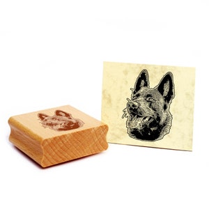 Sello con motivo Pastor holandés Sello de perro Sello de madera para perros 35 x 48 mm - Idea de regalo Dueño de perro Aficionado a los perros Regalo para amantes de los perros