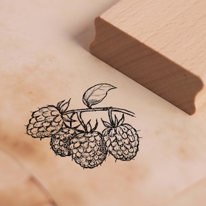 Stamp Raspberry - motif stamp approx. 38 x 28 mm • Wood stamp Scrapbooking Embossing • Kindergarten School Natural Gardener Nursery Fruit