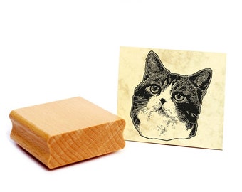 Motif stamp American Whirehair - stamp cat wooden stamp approx. 48 x 48 mm - cat stamp motif cat head pet gift cat lover