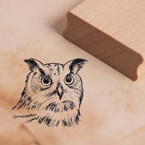 May include: A black and white line drawing of an owl with large eyes. The owl is facing forward and has a serious expression. The drawing is on a light brown background.
