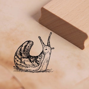 Motiefstempel bloedzuiger - slakstempel houten stempel 38 x 38 mm - stempelen ambachten scrapbooking embossing kleuterschool schooltuin