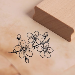 Motivstempel Zweig mit Kirschblüten Stempel Blüten Knospen 48 x 38 mm - Holzstempel Scrapbooking Embossing Stempeln Basteln - Geschenk