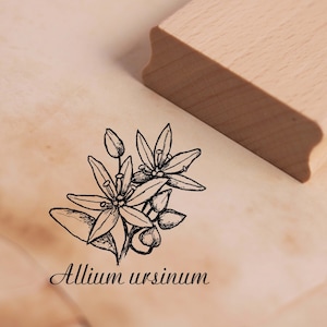 Motif tampon ail sauvage - Allium ursinum - timbre 38 x 38 mm - timbre bois scrapbooking timbres gaufrage artisanat cadeau herb cuisine