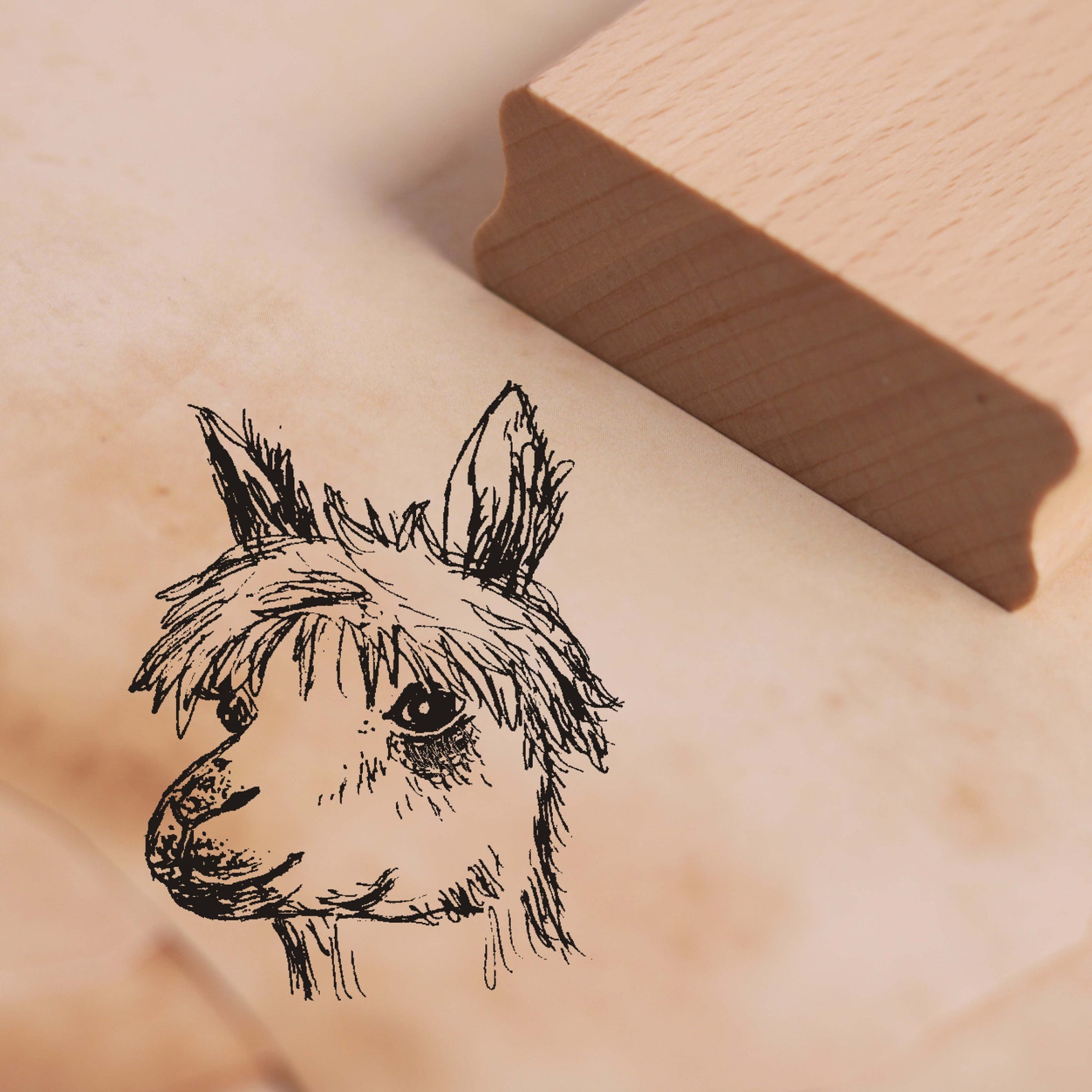 GLOBLELAND Lustiger Geburtstag Transparente Stempel Produktbild-Vorschau 6